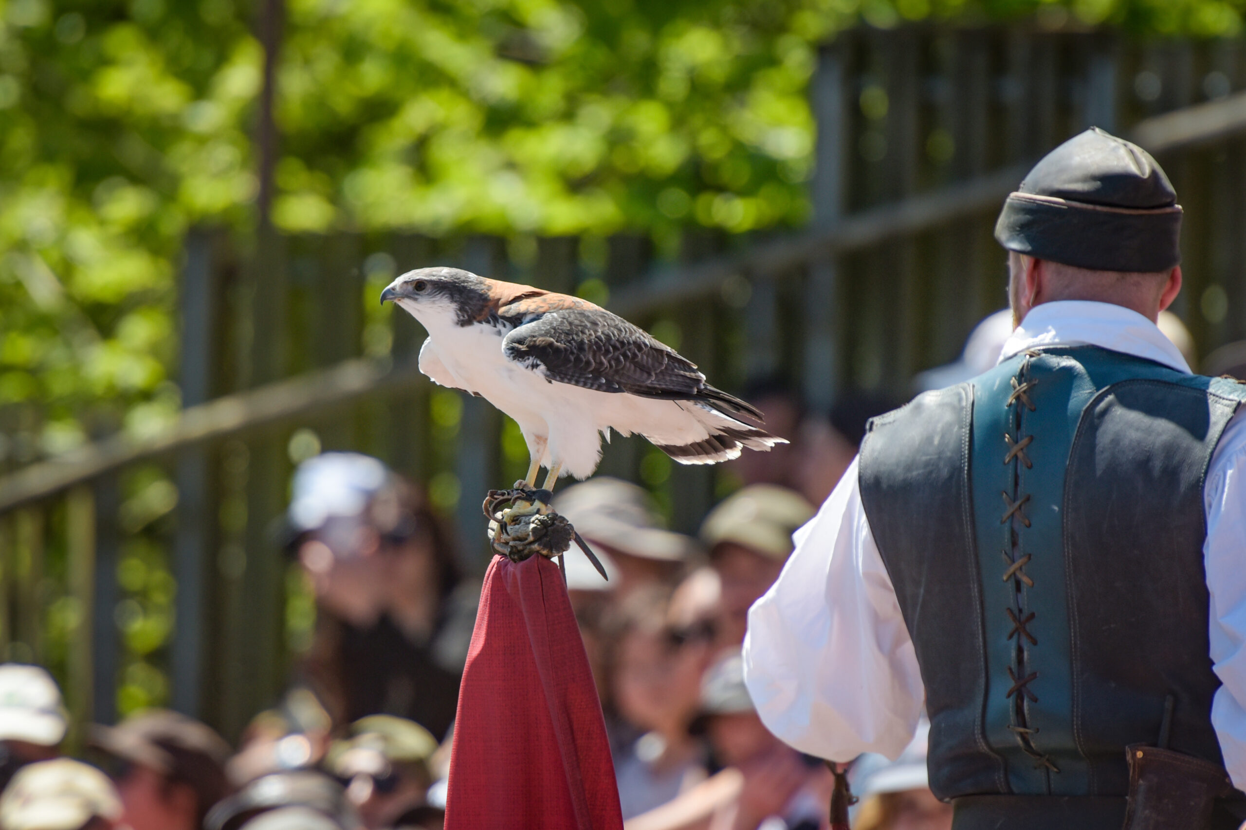 Jour 3 Puy du Fou/Retour | Organisation séjour éducatif